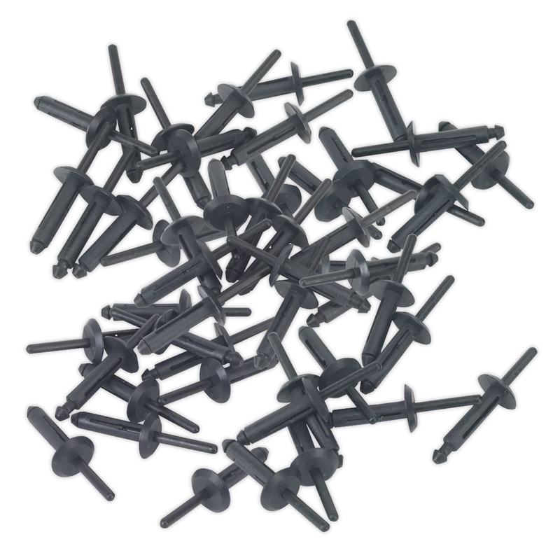 Sealey Plastic Rivet 6.3 x 25.2mm Pack of 50