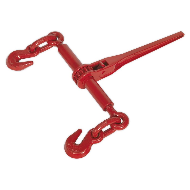 Sealey Ratchet Load Binder 9.5-12.7mm 4200kg Capacity