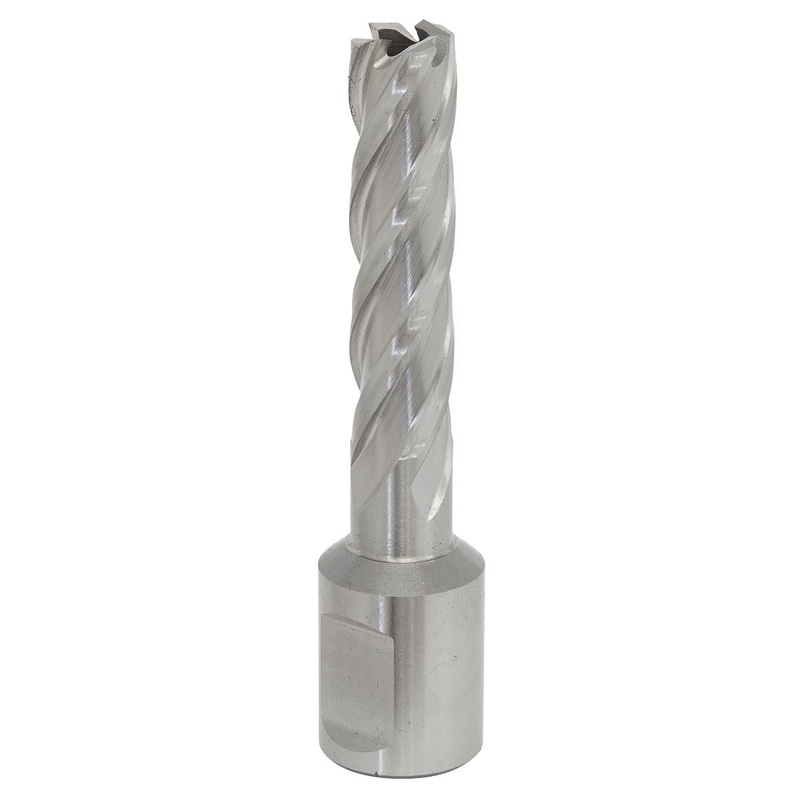 Worksafe by Sealey Mag Drill Bit HSS 12mm - Cut Depth 50mm