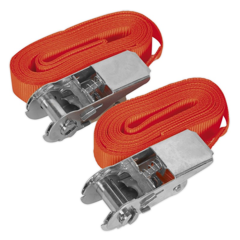Sealey 500kg Ratchet Tie Down 25mm x 4.5m - Pair Cargo Lash Self Securing