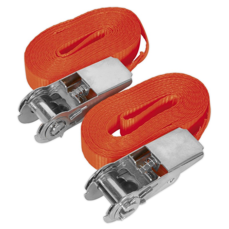 Sealey Ratchet Strap Tie Down Cargo Lash 25mm x 4.5m Pair 800kg